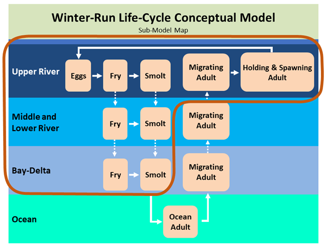 “conceptual model”