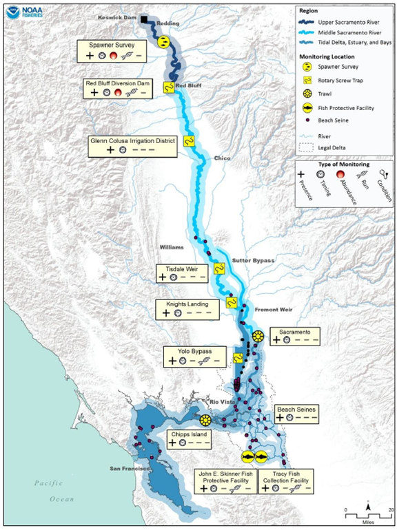 Brood Year 2021 Winter-Run Chinook Salmon Report